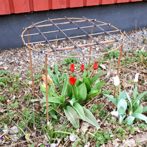 Rö-Stöd Pionstöd runt