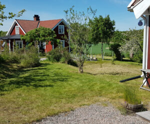263_005_in_före