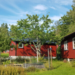 38_1_20210909_efter