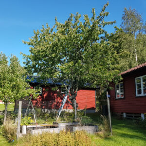 38_2_20210909_före