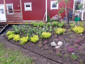 432_20240610__efter