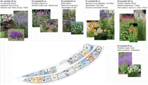Plantering 447